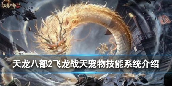 img202505301714470_info580X290.png