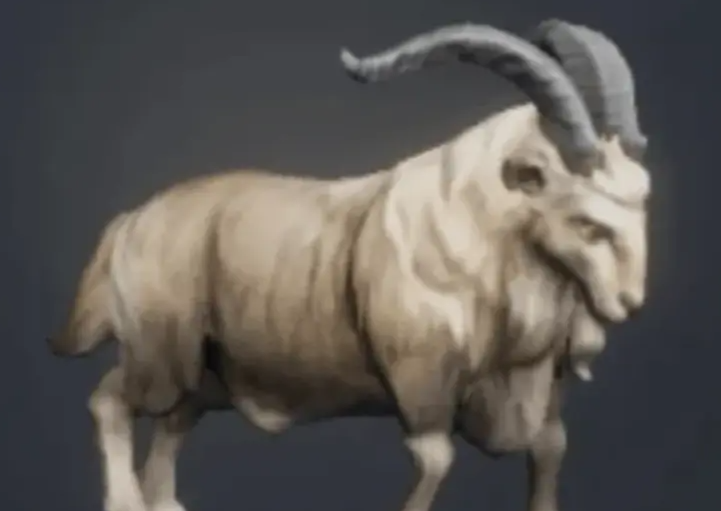 荒原曙光开荒宠物推荐 荒原曙光开荒宠物带什么好